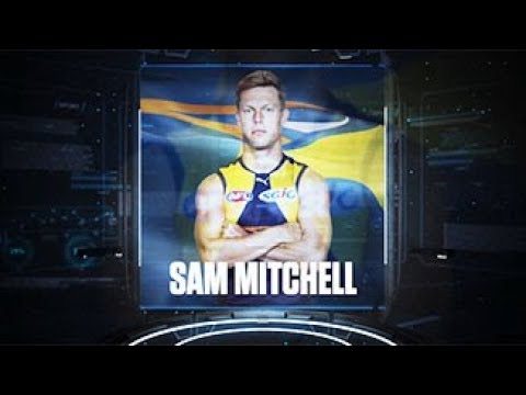 Mitchellの2017年ハイライト