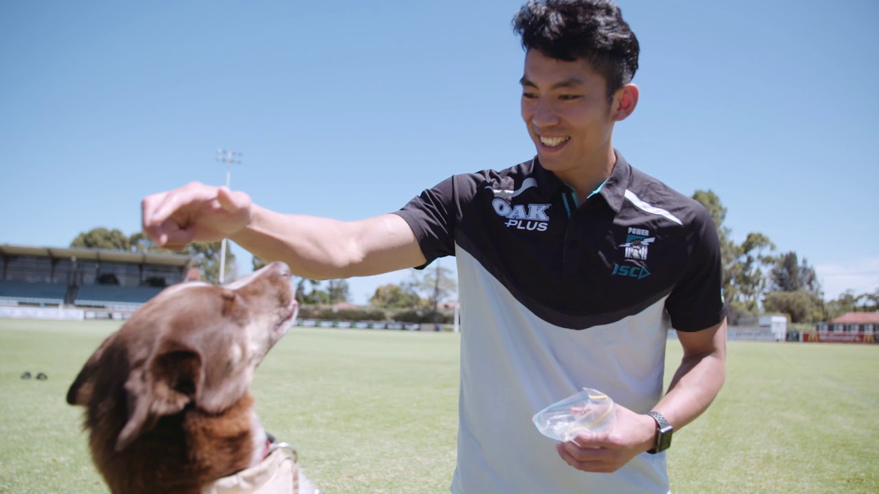 Chenが戌年を犬と祝う！