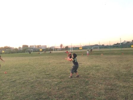 20151104_074702499_iOS