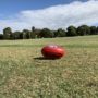 はじめまして🇦🇺🏉