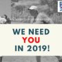 2019年度の公認アンパイアを募集します！
