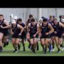 The boys are back!