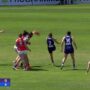 AFLW こぼれ球からスナップショット